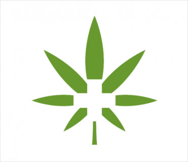 Medical Cannabis Mentor Gets Branded by Here Design - Logo-Designer.co